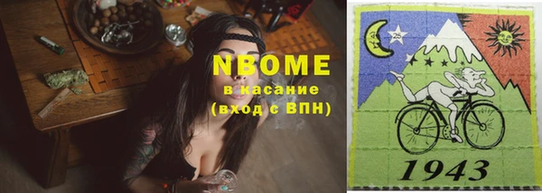 хмурый Кодинск