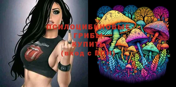 хмурый Кодинск