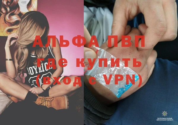 хмурый Кодинск