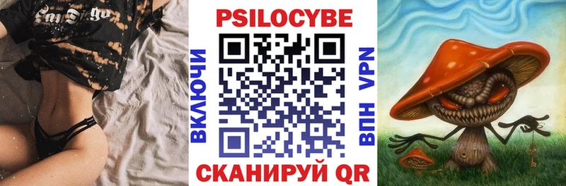 Галлюциногенные грибы Cubensis  Купить где  Будённовск 